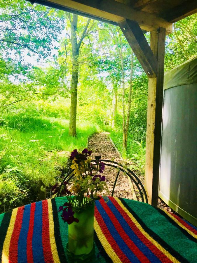 Cotswolds Camping At Holycombe Shipston-on-Stour Bagian luar foto
